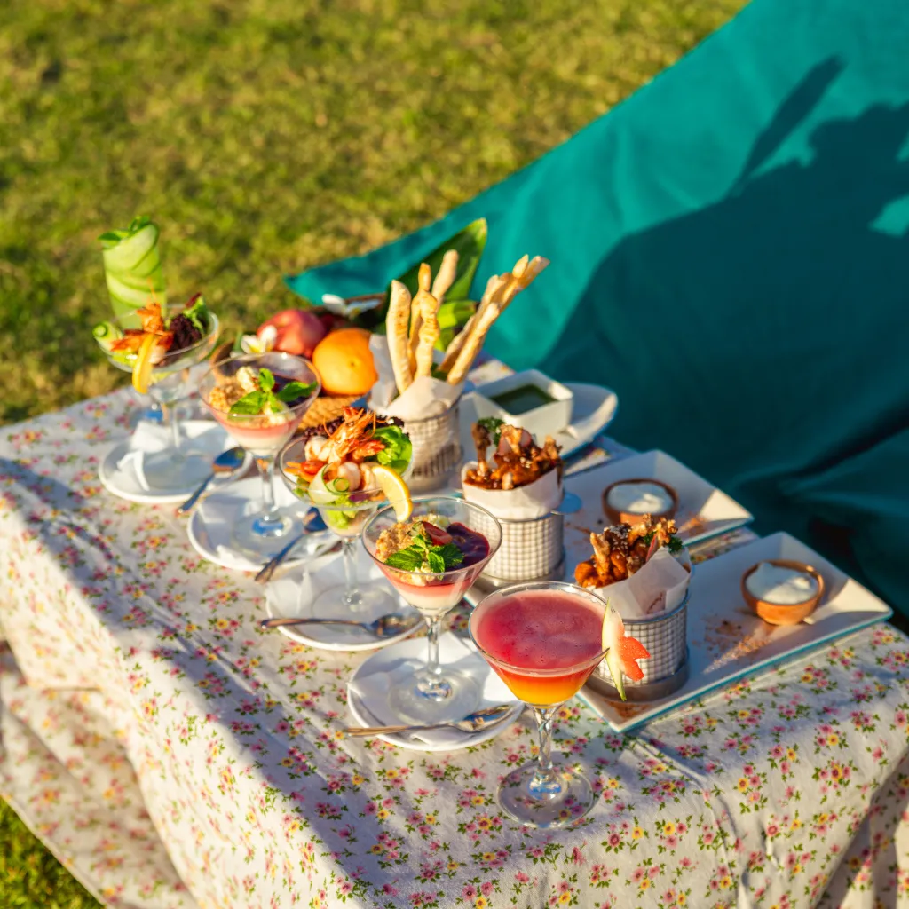 Picnic - Lovina Beach